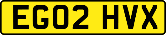 EG02HVX