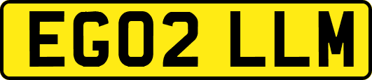 EG02LLM