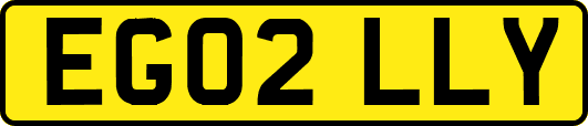 EG02LLY