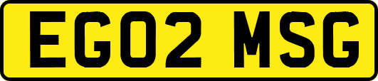 EG02MSG