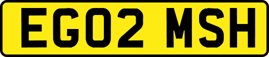 EG02MSH