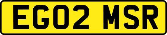 EG02MSR