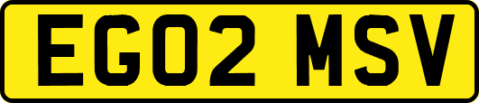 EG02MSV