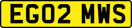 EG02MWS