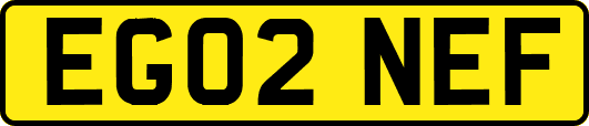 EG02NEF