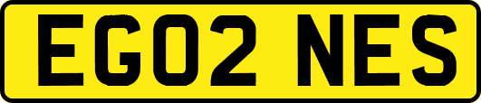 EG02NES