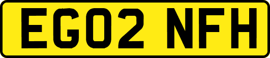 EG02NFH