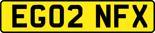 EG02NFX