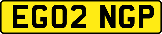 EG02NGP