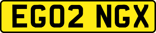 EG02NGX