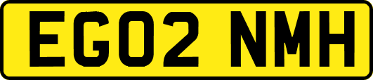 EG02NMH