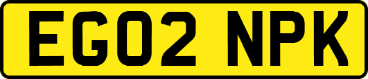EG02NPK