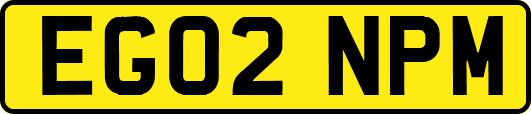 EG02NPM