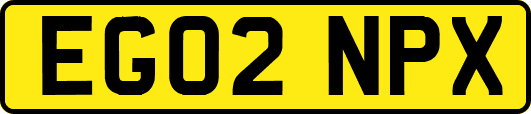 EG02NPX