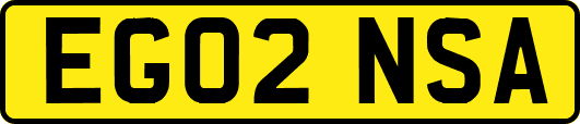 EG02NSA