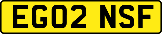EG02NSF