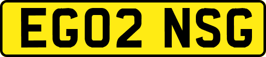 EG02NSG