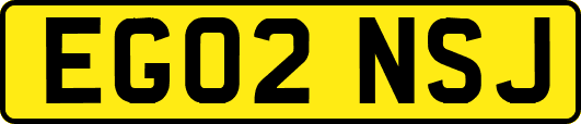EG02NSJ