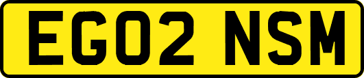 EG02NSM