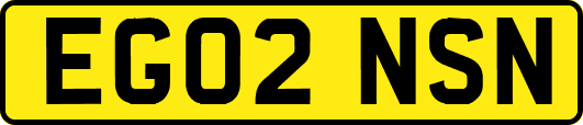 EG02NSN