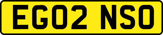 EG02NSO