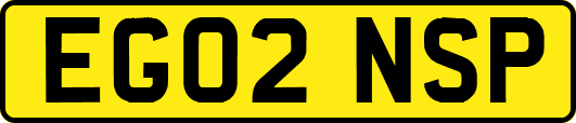 EG02NSP