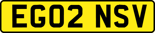 EG02NSV