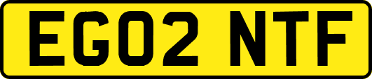 EG02NTF