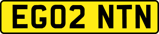 EG02NTN