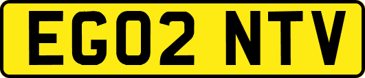EG02NTV