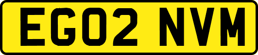 EG02NVM