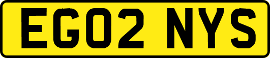 EG02NYS