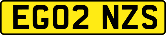 EG02NZS