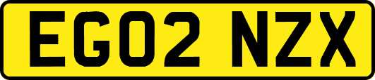EG02NZX