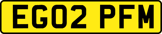 EG02PFM