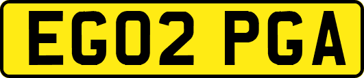 EG02PGA