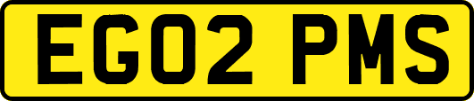 EG02PMS