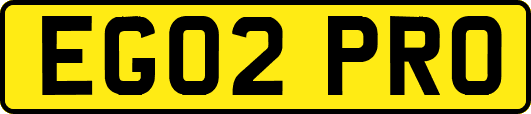 EG02PRO