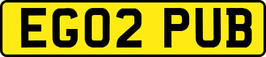 EG02PUB