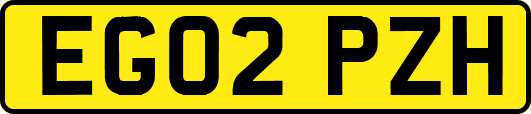 EG02PZH