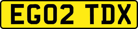 EG02TDX