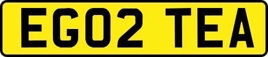 EG02TEA