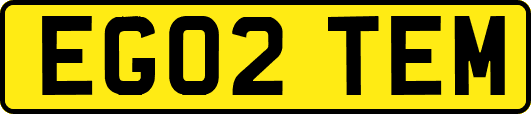 EG02TEM
