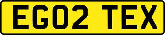 EG02TEX