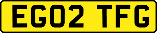 EG02TFG