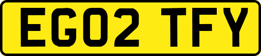 EG02TFY