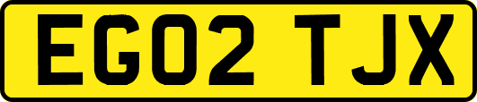 EG02TJX