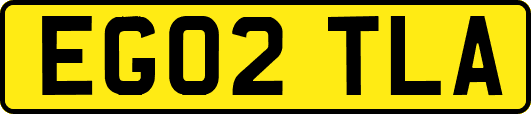 EG02TLA