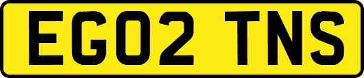 EG02TNS