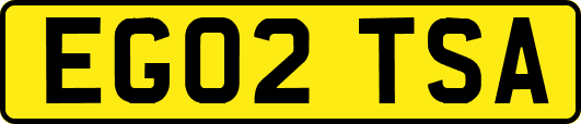 EG02TSA